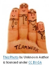 stages of team development