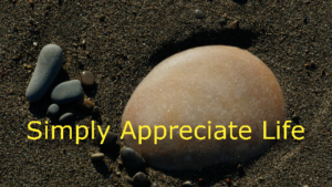 appreciate being alive