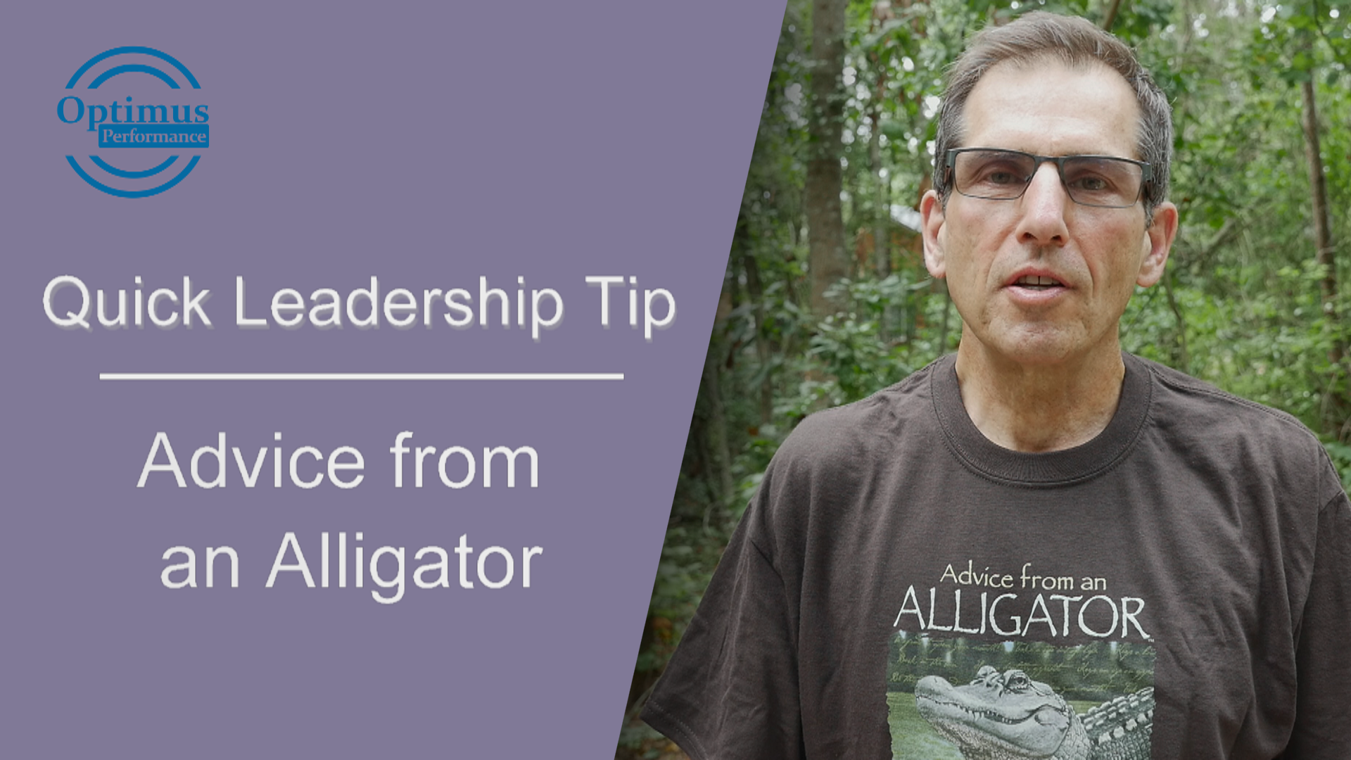 advice from an alligator
