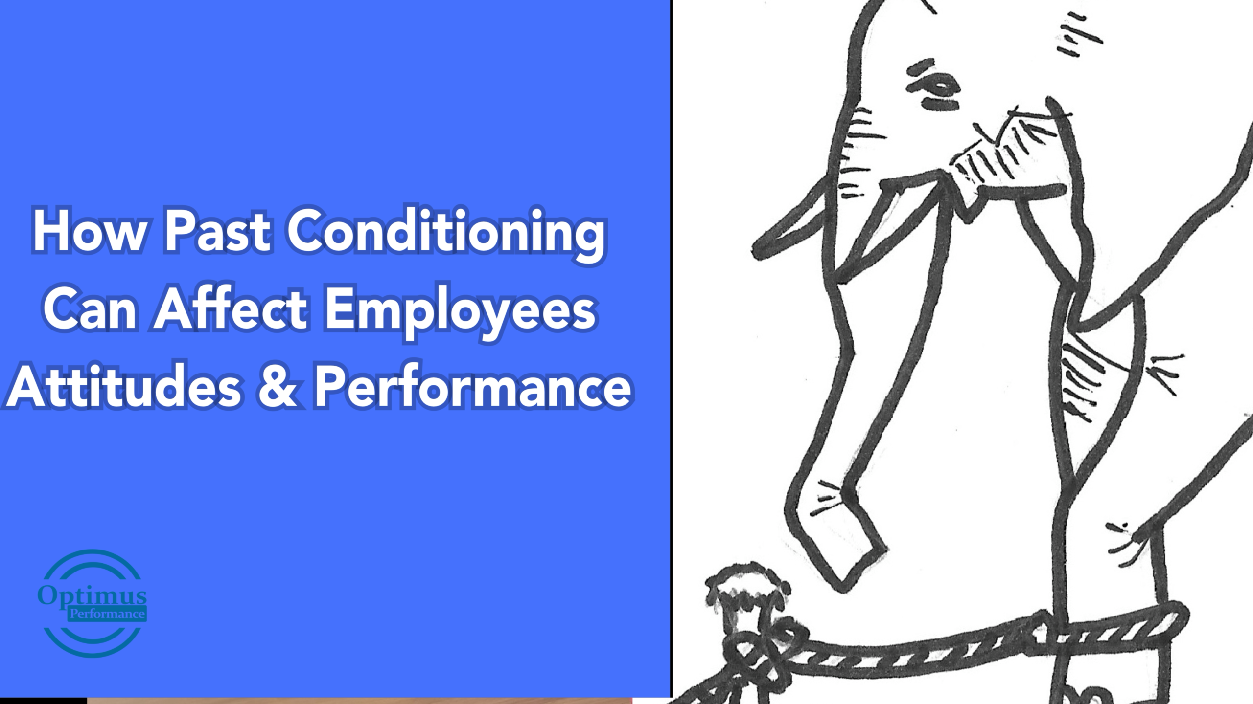 employees attitudes and performance